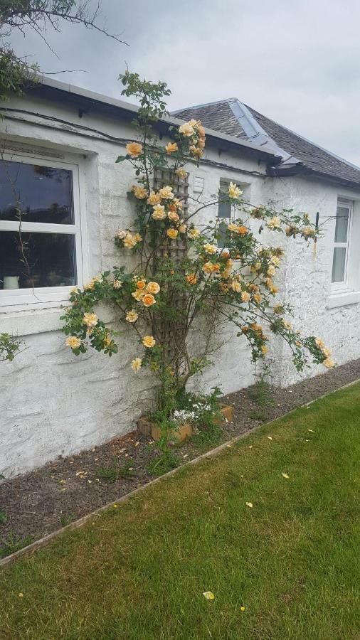 Barcloy Honey House Villa Kirkcudbright Exterior foto